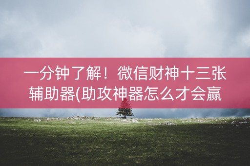 一分钟了解！微信财神十三张辅助器(助攻神器怎么才会赢)