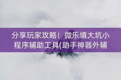 分享玩家攻略！微乐填大坑小程序辅助工具(助手神器外辅工具)