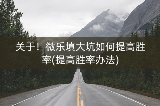 关于！微乐填大坑如何提高胜率(提高胜率办法)