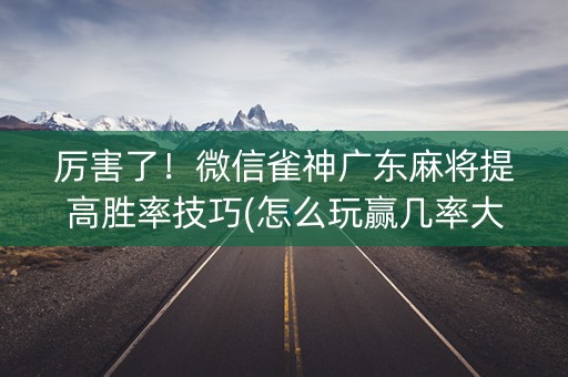 厉害了！微信雀神广东麻将提高胜率技巧(怎么玩赢几率大)