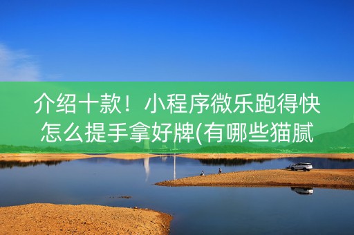 介绍十款！小程序微乐跑得快怎么提手拿好牌(有哪些猫腻)