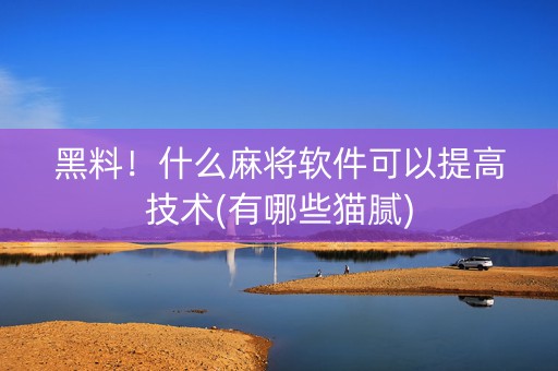 黑料！什么麻将软件可以提高技术(有哪些猫腻)