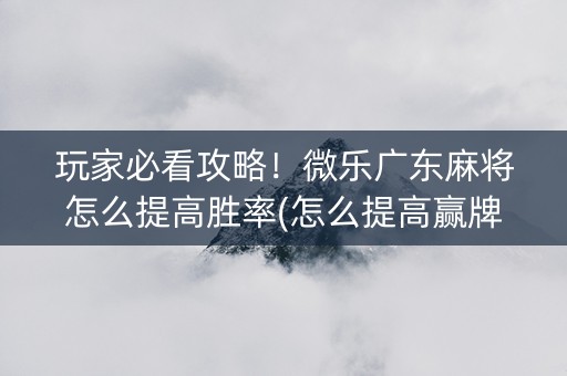 玩家必看攻略！微乐广东麻将怎么提高胜率(怎么提高赢牌率)