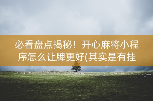 必看盘点揭秘！开心麻将小程序怎么让牌更好(其实是有挂确实有挂)