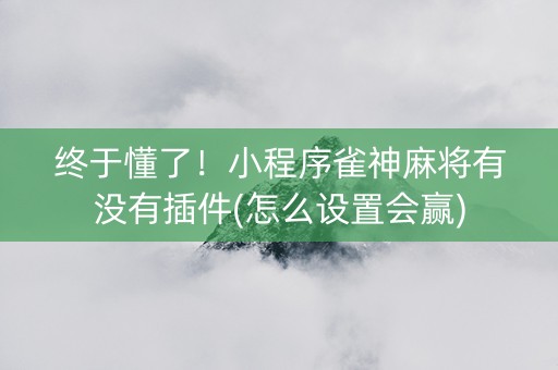 终于懂了！小程序雀神麻将有没有插件(怎么设置会赢)