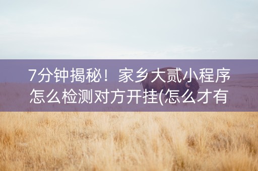 7分钟揭秘！家乡大贰小程序怎么检测对方开挂(怎么才有好牌)
