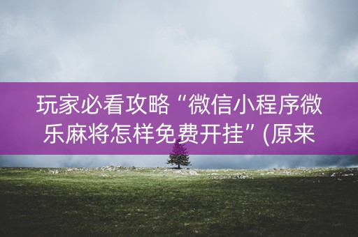 玩家必看攻略“微信小程序微乐麻将怎样免费开挂”(原来真的有挂)-知乎