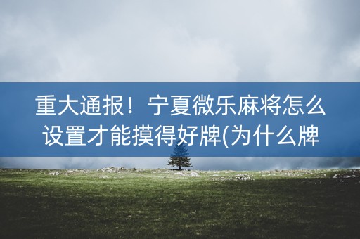 重大通报！宁夏微乐麻将怎么设置才能摸得好牌(为什么牌一直很差)