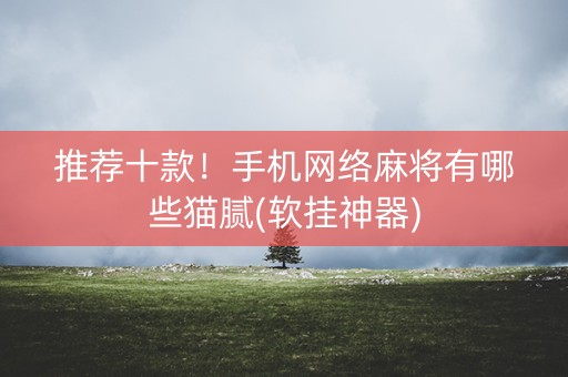 推荐十款！手机网络麻将有哪些猫腻(软挂神器)