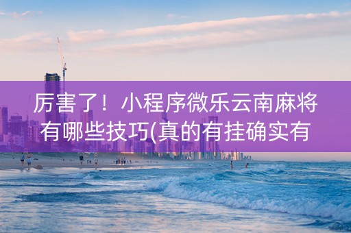 厉害了！小程序微乐云南麻将有哪些技巧(真的有挂确实有挂)