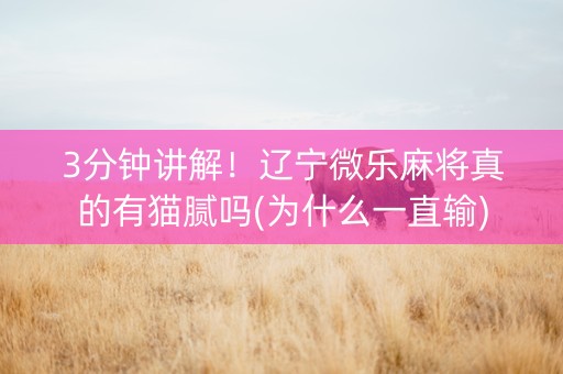 3分钟讲解！辽宁微乐麻将真的有猫腻吗(为什么一直输)
