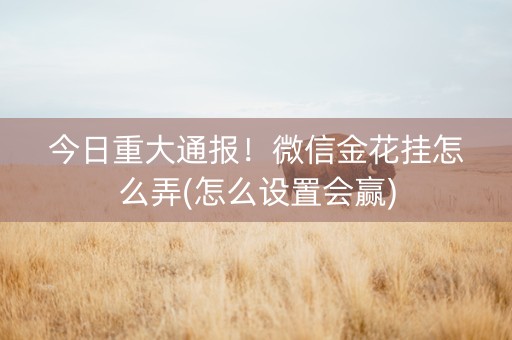 今日重大通报！微信金花挂怎么弄(怎么设置会赢)