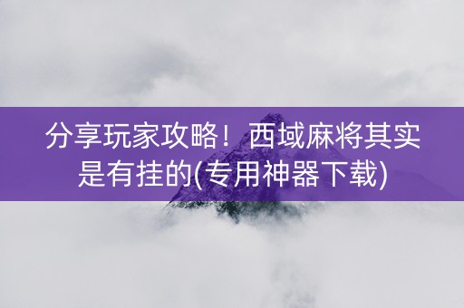 分享玩家攻略！西域麻将其实是有挂的(专用神器下载)