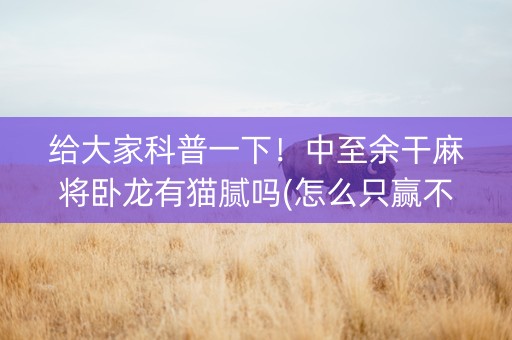 给大家科普一下！中至余干麻将卧龙有猫腻吗(怎么只赢不输)