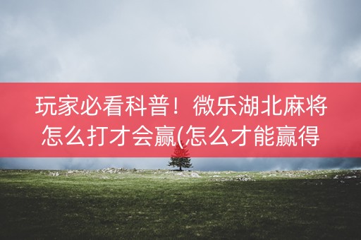 玩家必看科普！微乐湖北麻将怎么打才会赢(怎么才能赢得多)