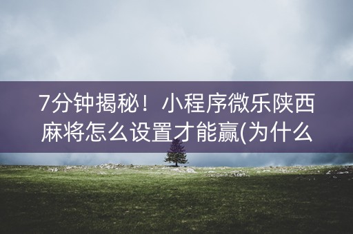 7分钟揭秘！小程序微乐陕西麻将怎么设置才能赢(为什么老输)