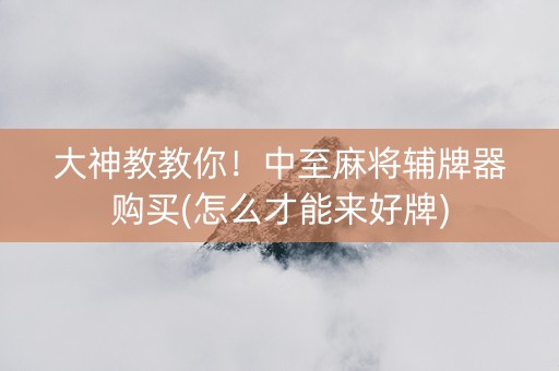 大神教教你！中至麻将辅牌器购买(怎么才能来好牌)