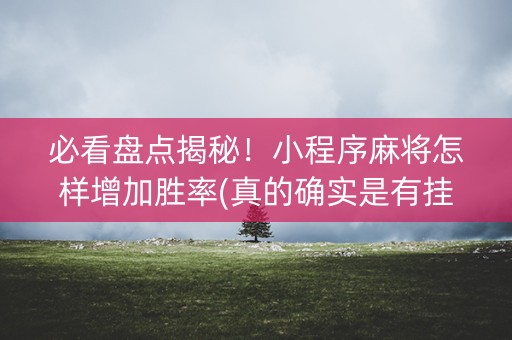必看盘点揭秘！小程序麻将怎样增加胜率(真的确实是有挂)