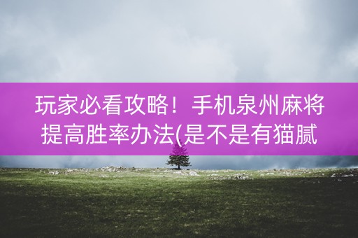 玩家必看攻略！手机泉州麻将提高胜率办法(是不是有猫腻)
