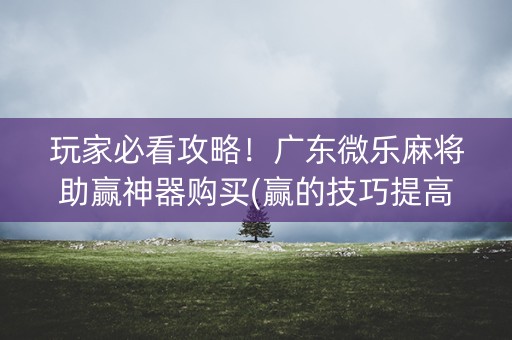 玩家必看攻略！广东微乐麻将助赢神器购买(赢的技巧提高胜率)