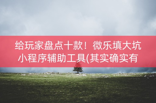 给玩家盘点十款！微乐填大坑小程序辅助工具(其实确实有挂)