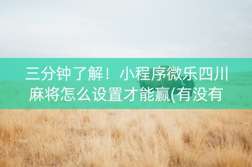 三分钟了解！小程序微乐四川麻将怎么设置才能赢(有没有技巧)