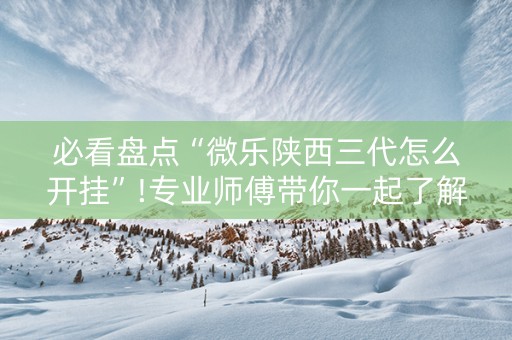 必看盘点“微乐陕西三代怎么开挂”!专业师傅带你一起了解（详细教程）-知乎