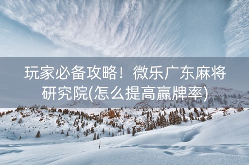 玩家必备攻略！微乐广东麻将研究院(怎么提高赢牌率)