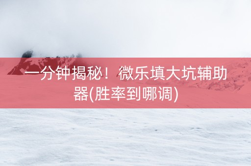 一分钟揭秘！微乐填大坑辅助器(胜率到哪调)
