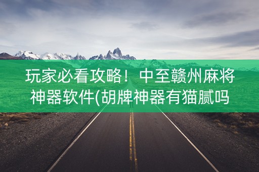 玩家必看攻略！中至赣州麻将神器软件(胡牌神器有猫腻吗)