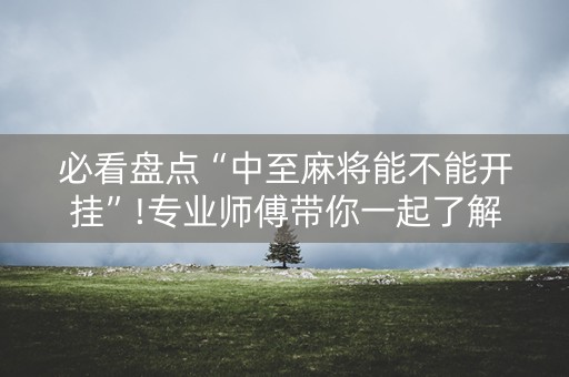 必看盘点“中至麻将能不能开挂”!专业师傅带你一起了解（详细教程）-知乎