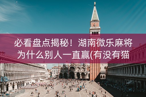 必看盘点揭秘！湖南微乐麻将为什么别人一直赢(有没有猫腻)
