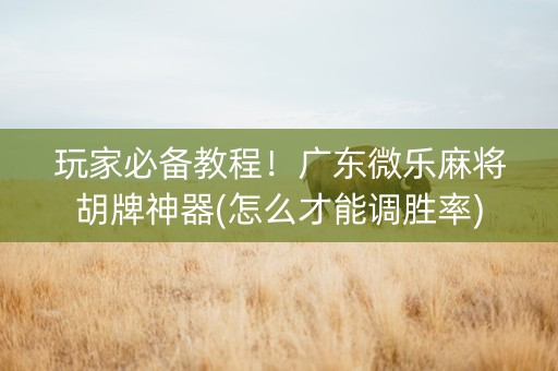 玩家必备教程！广东微乐麻将胡牌神器(怎么才能调胜率)