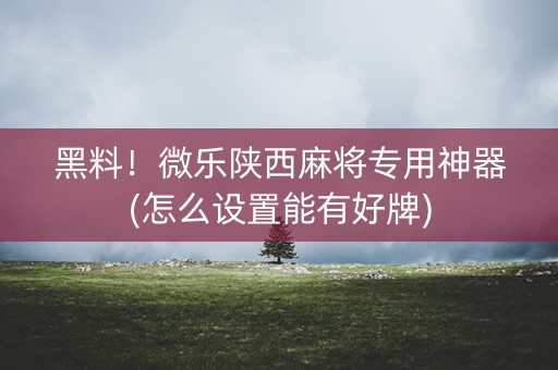 黑料！微乐陕西麻将专用神器(怎么设置能有好牌)