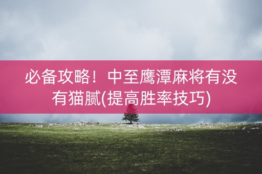 必备攻略！中至鹰潭麻将有没有猫腻(提高胜率技巧)