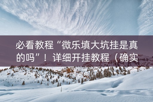 必看教程“微乐填大坑挂是真的吗”！详细开挂教程（确实真的有挂)-知乎