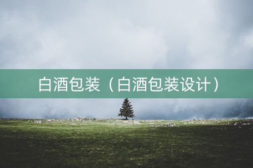 白酒包装（白酒包装设计）