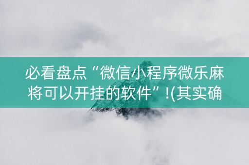 必看盘点“微信小程序微乐麻将可以开挂的软件”!(其实确实有挂)-知乎