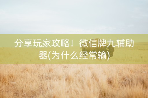 分享玩家攻略！微信牌九辅助器(为什么经常输)