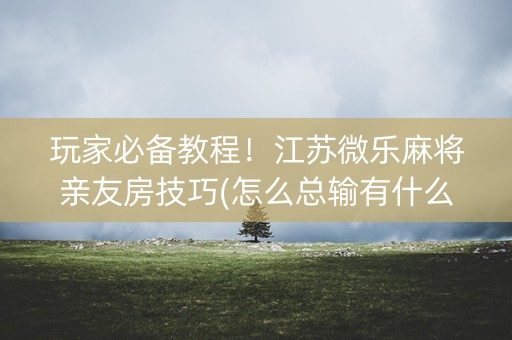 玩家必备教程！江苏微乐麻将亲友房技巧(怎么总输有什么猫腻)