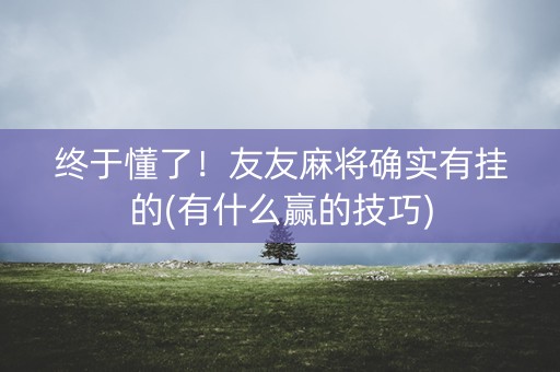 终于懂了！友友麻将确实有挂的(有什么赢的技巧)