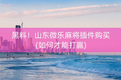 黑料！山东微乐麻将插件购买(如何才能打赢)