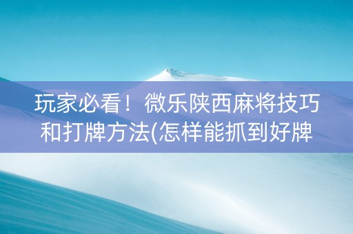 玩家必看！微乐陕西麻将技巧和打牌方法(怎样能抓到好牌)