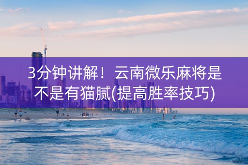 3分钟讲解！云南微乐麻将是不是有猫腻(提高胜率技巧)