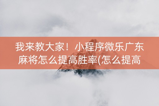 我来教大家！小程序微乐广东麻将怎么提高胜率(怎么提高好牌率)