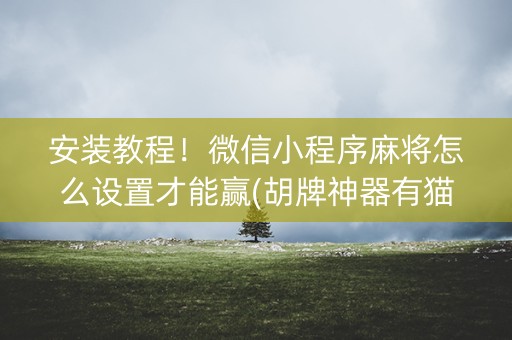 安装教程！微信小程序麻将怎么设置才能赢(胡牌神器有猫腻吗)
