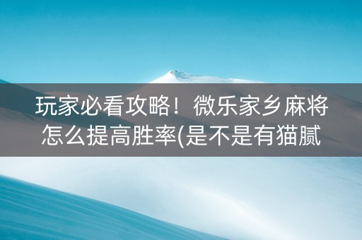 玩家必看攻略！微乐家乡麻将怎么提高胜率(是不是有猫腻)