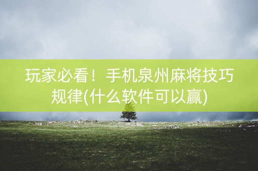 玩家必看！手机泉州麻将技巧规律(什么软件可以赢)