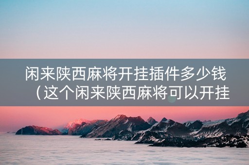 闲来陕西麻将开挂插件多少钱（这个闲来陕西麻将可以开挂吗）