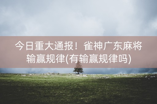 今日重大通报！雀神广东麻将输赢规律(有输赢规律吗)